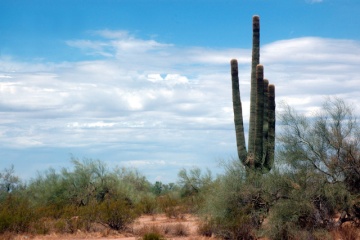 Lake Havasu City